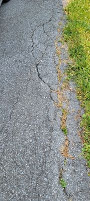 Large cracks- not enough black top- driveway breaking up in non primary traffic areas