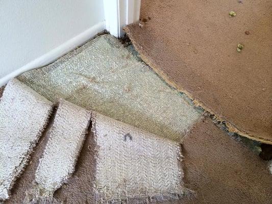 Carpet damage like this is nothing new to us and can be easily fixed by one of our professional technicians