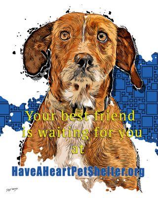 Have A Heart Pet Shelter