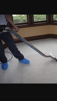 Professional carpet cleaning.