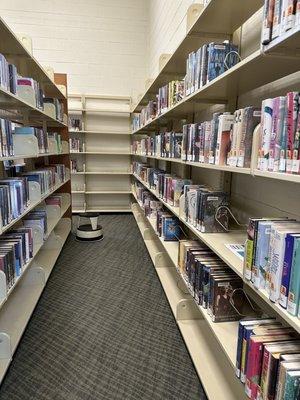 Very empty shelves and worse adults very little variety more nonfiction and records . Half the books are old or beat up.