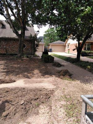 Before photo(Sod install )