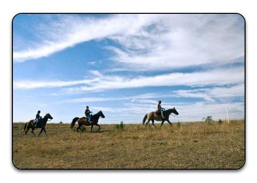 Riley Equine Center-Therapeutic Riding