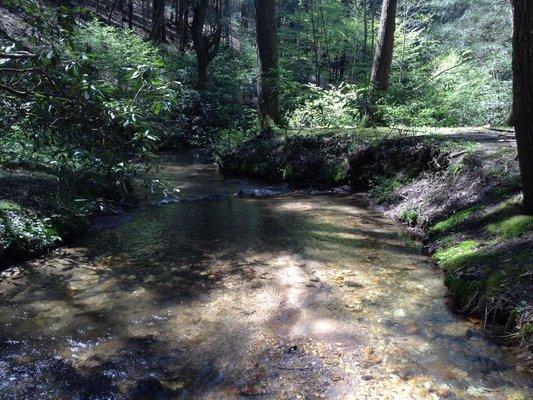 Local views in the state parks and management areas.