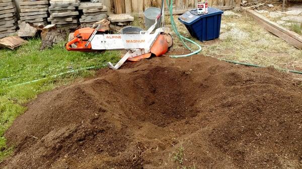 Black walnut stump removal in Buhl