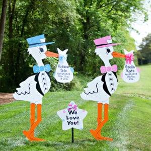 Twin Storks with Personalized Keepsake Bundle