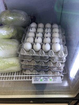 Duck eggs