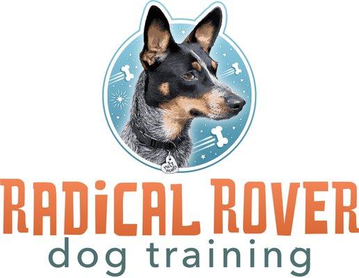 Modern dog trainer located on Chicago's South Side