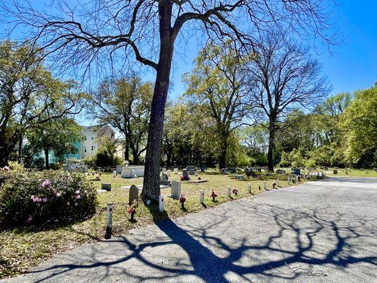 the church cemetery