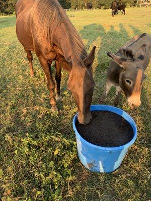 Florida Mineral Salt & Agricultural Products