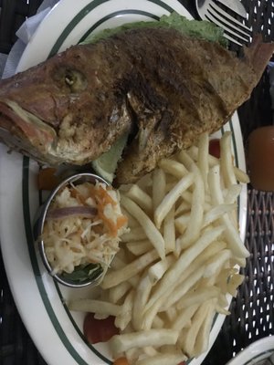 Snapper and fries. Habanero Cole slaw.