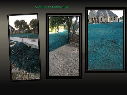 Sure Green Hydromulch