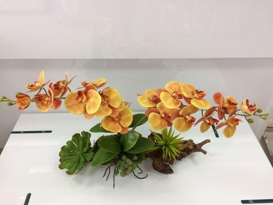 Orange orchids