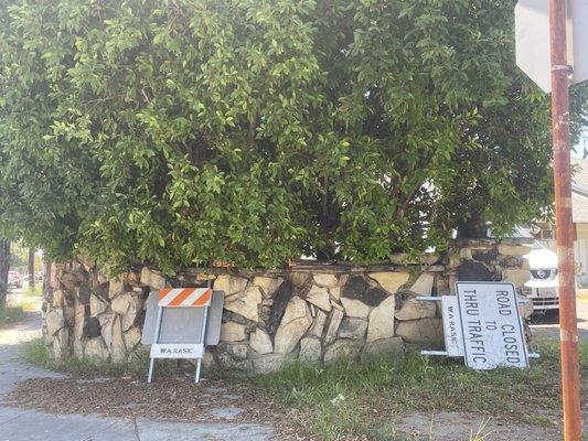 This company worked in my Northridge neighborhood for over a month off of Tampa and left all this trash behind! Come pick it up!