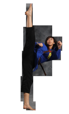 American Tkd Martial Arts