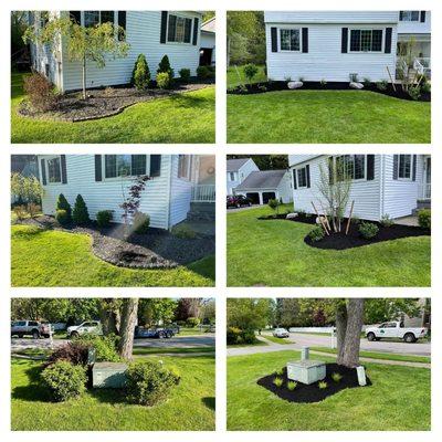 Buffalo Landscape Design