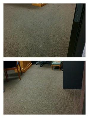 Carpet Cleaning