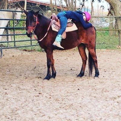 Girl laying on a horse