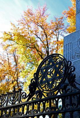 Our front gate