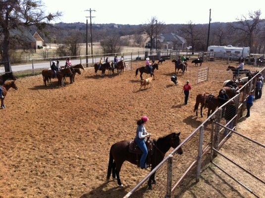 sorting clinic in outdoor arena