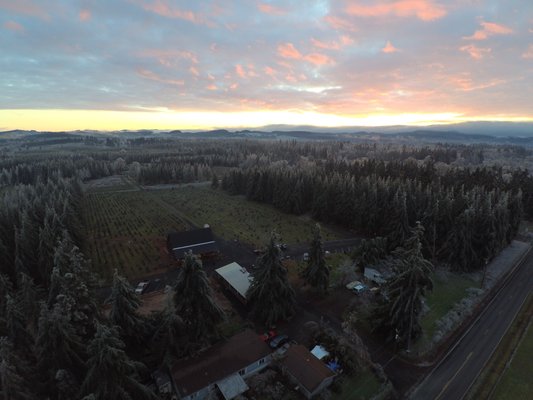 Our farm in Oregon from Santa's sleigh.