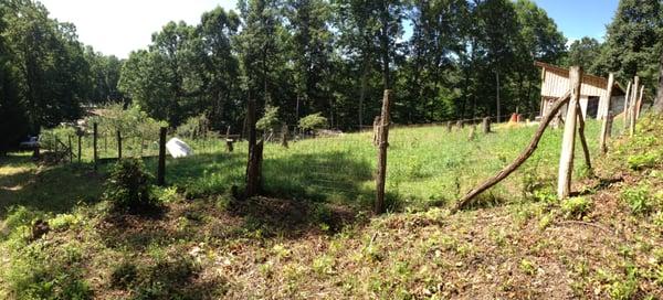 The farm pasture.