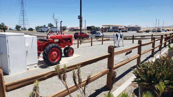 Haha, tractor and cow.