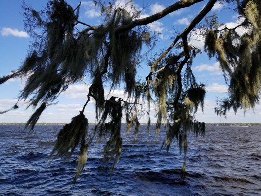 Rocky waters and moss