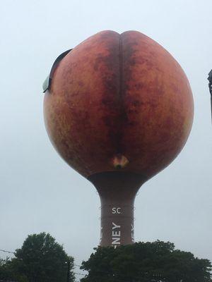 In the shadow of Peachoid water tower