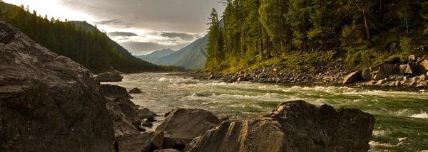 National Park Tours