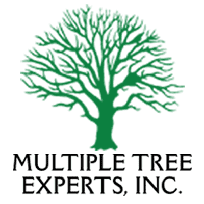 Multiple Tree Experts