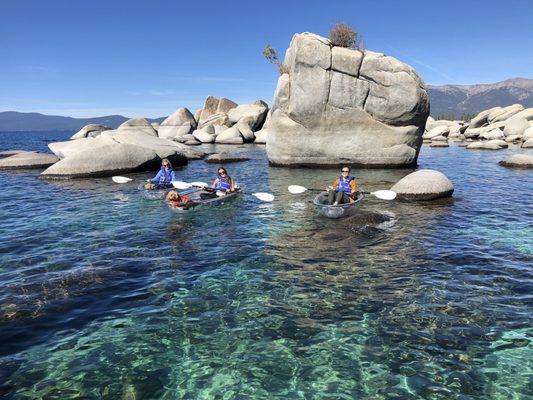 Bonsai Rock