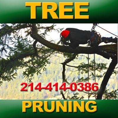 Tree cutting