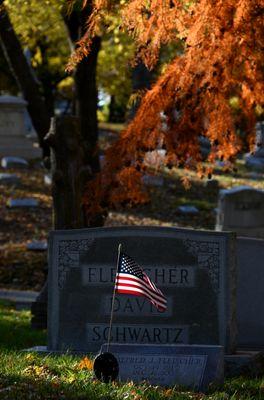 One of hundreds of veterans.