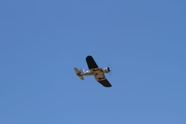 P51 in flight.