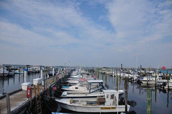 Marina on The Bay - 150 slips for boats to 50 feet (summer and winter storage) and transient dockage up to 110 ft, travel lift