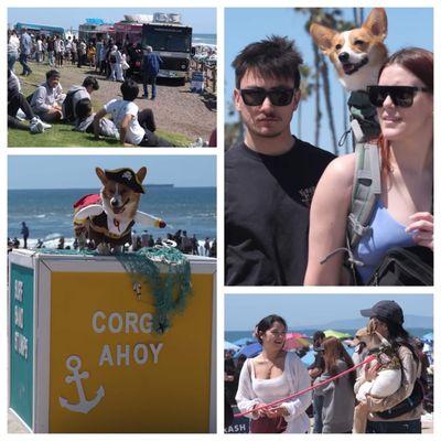 2024 So Cal Beach Corgi Day