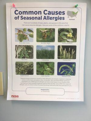 Common Causes of Seasonal Allergies!