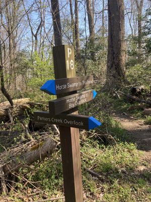 American Chestnut Land Trust