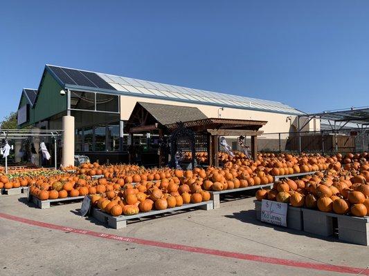 Home Services at the Home Depot