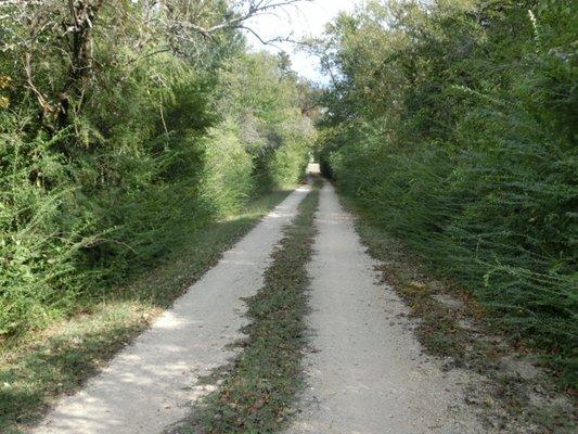 Beautiful drive leading into one of our listings.