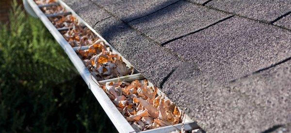 Gutter Cleaning