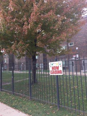 Beautiful tress and yard with a rot iron fence.