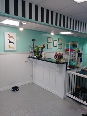 Bath N' Doggie Works Pet Spa & Boutique