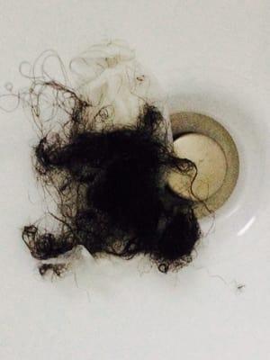 This is the clump of hair that came out in a subsequent wash.