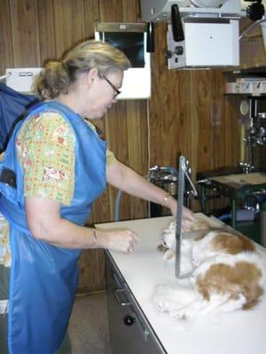 Susan measuring "Cookie" for an x-ray