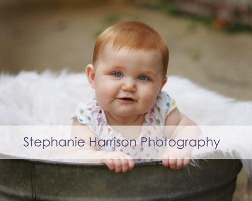 Stephanie Harrison Photography