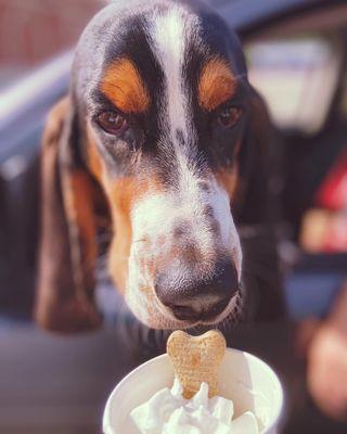 Bring your pups through for a puppuccino.