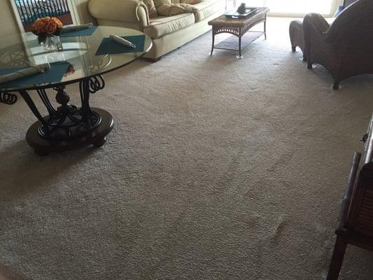 Carpets after cleaning.