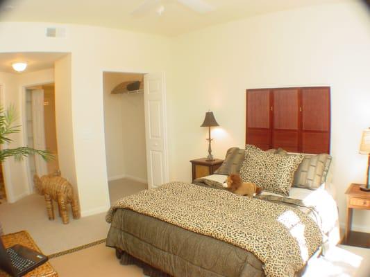 Large bedrooms at Springs at Bloomingdale Apartments in Brandon, FL